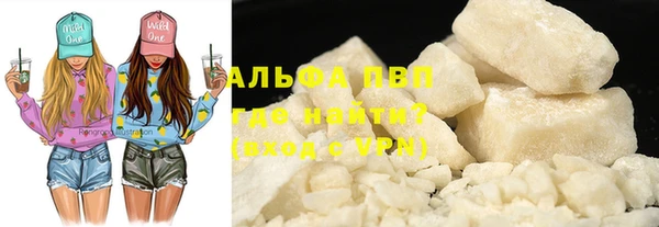 прущие грибы Краснослободск
