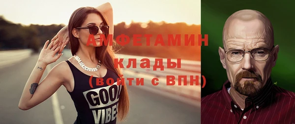 прущие грибы Краснослободск