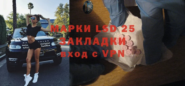 прущие грибы Краснослободск